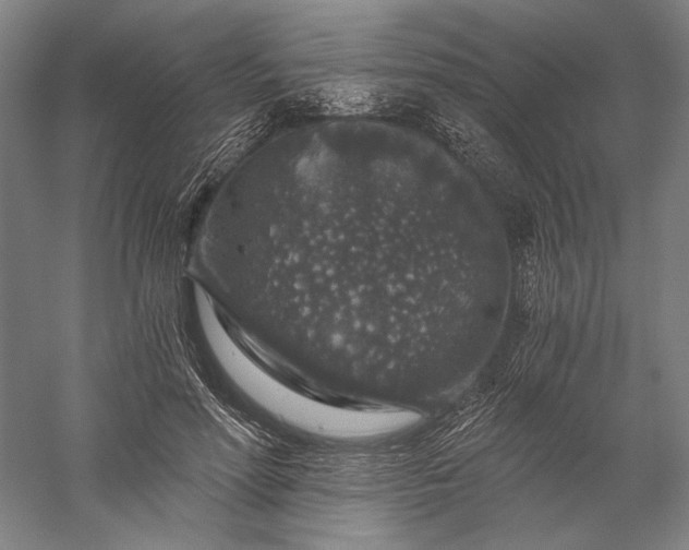 X0000056380598200509091717