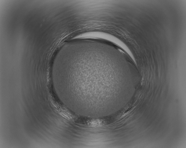 X0000056380600200509091717