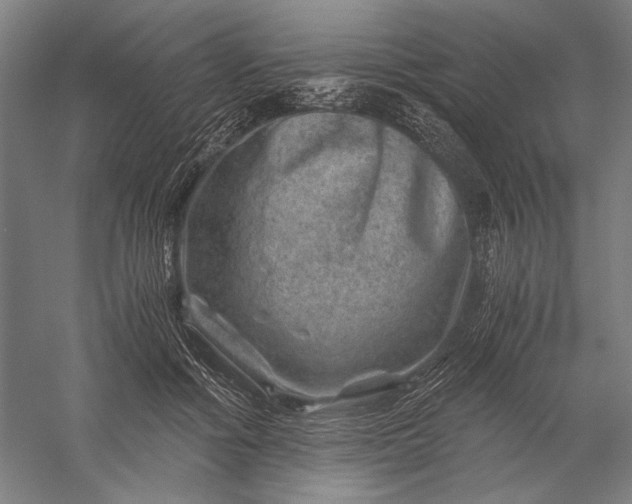 X0000056380602200509091717