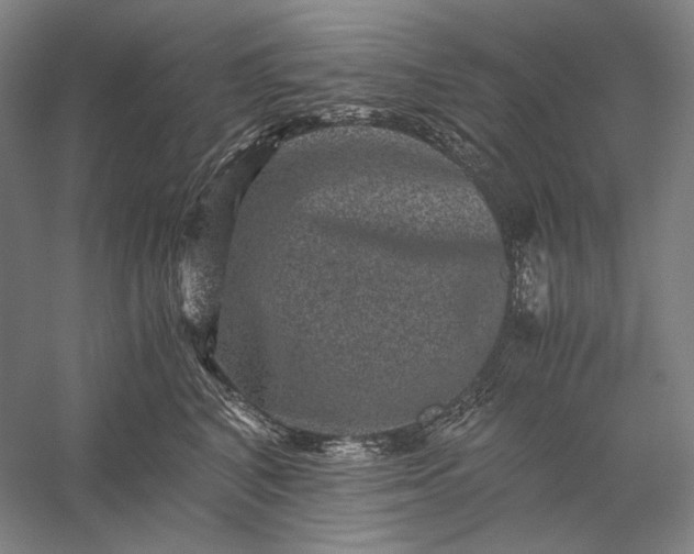 X0000056380616200509091717