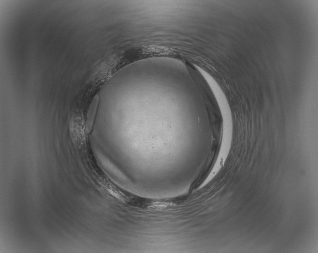 X0000056380617200509091717