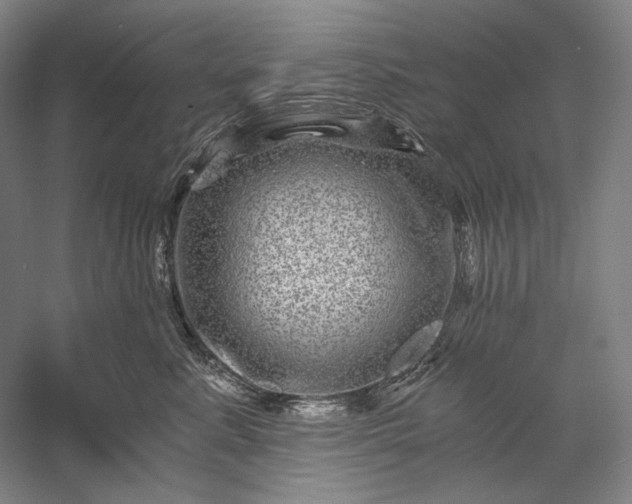 X0000056380619200509091717