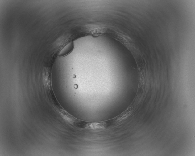 X0000056380622200509091717