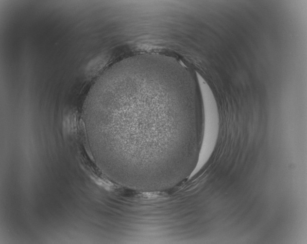 X0000056380623200509091717