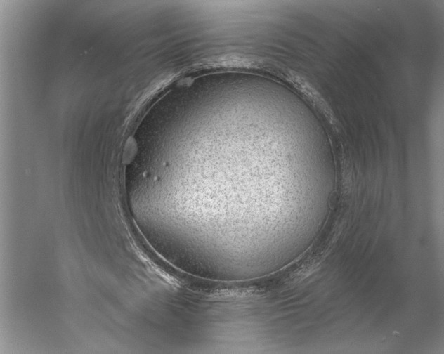 X0000056380625200509091716