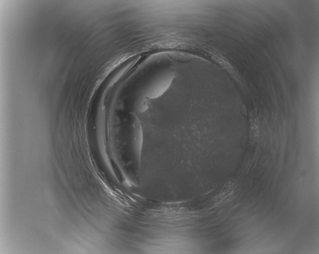 X0000056380626200509091716