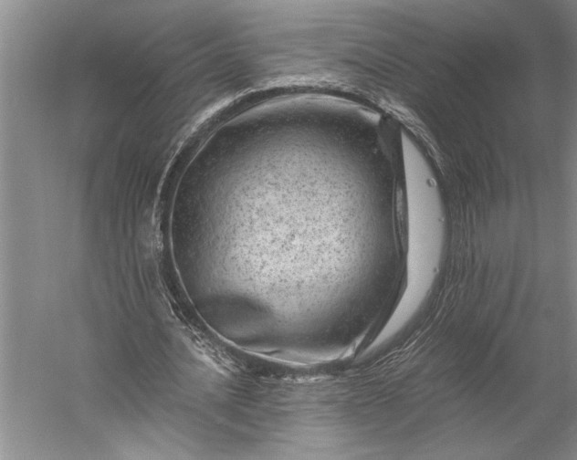 X0000056380628200509091716