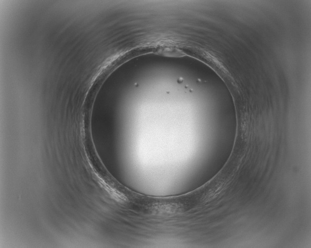 X0000056380629200509091716