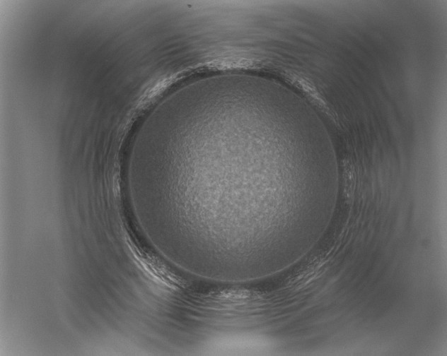 X0000056380631200509091716