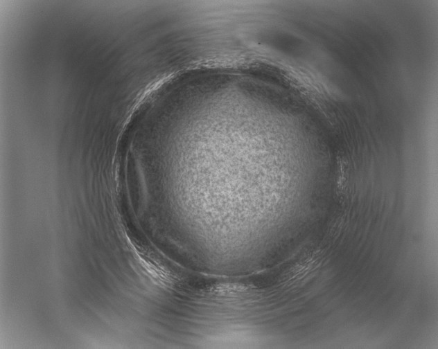 X0000056380636200509091716