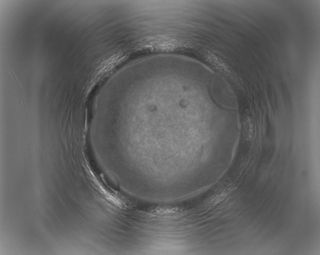 X0000056380638200509091716