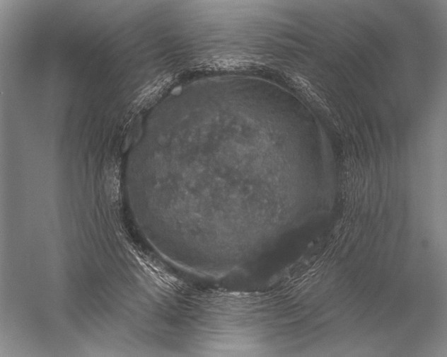 X0000056380640200509091716