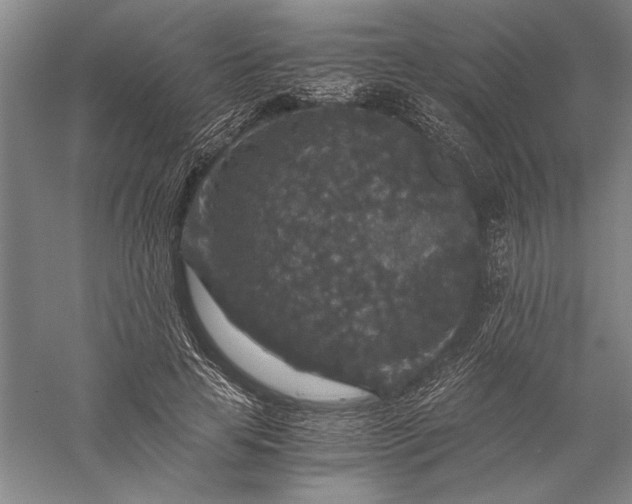 X0000056380641200509091716