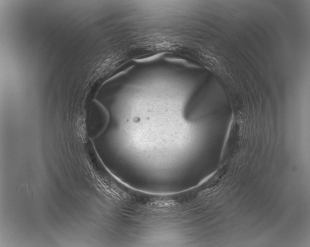 X0000056380642200509091716