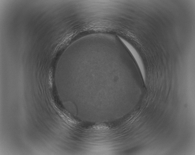 X0000056380644200509091716