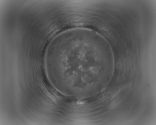 X0000056380647200509091716