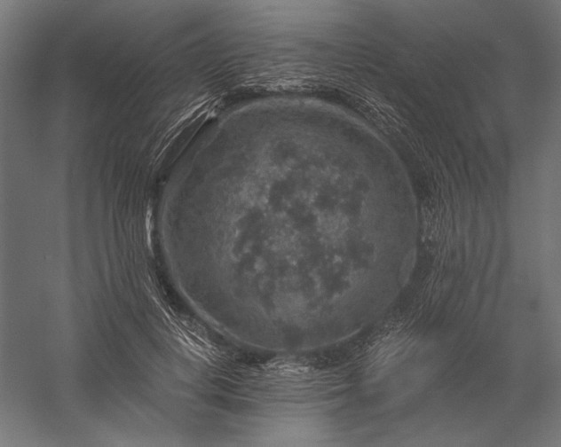 X0000056380648200509091716