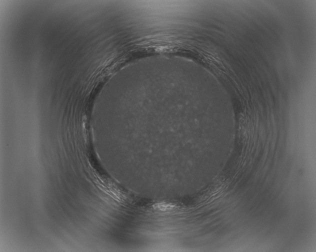 X0000056380650200509091716