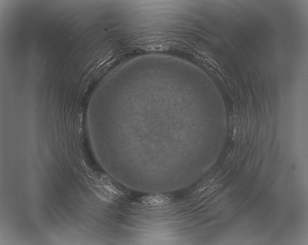 X0000056380652200509091716