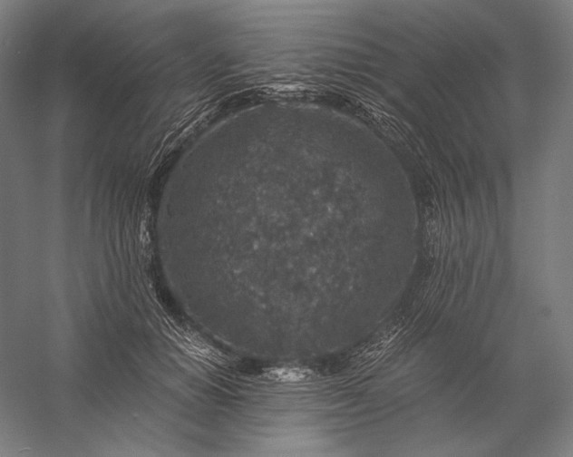 X0000056380654200509091716