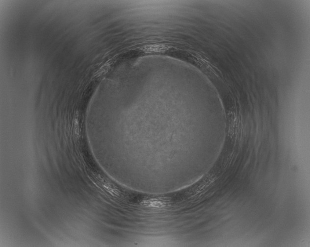 X0000056380655200509091716