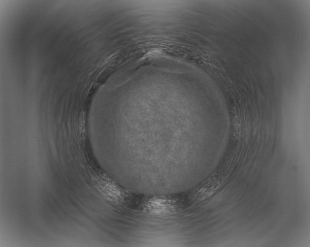 X0000056380657200509091716