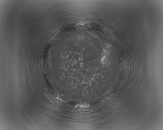 X0000056380659200509091716