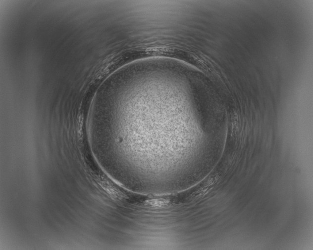 X0000056380660200509091716