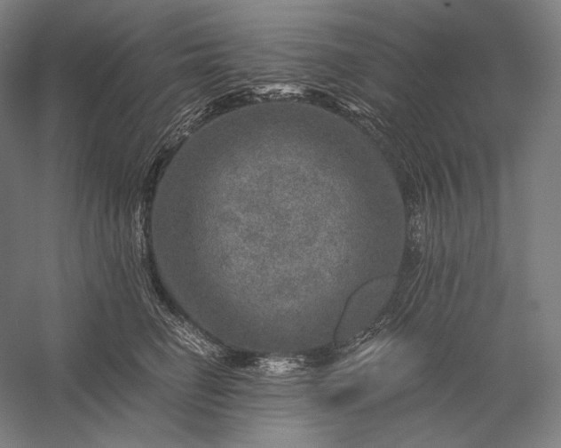 X0000056380662200509091716