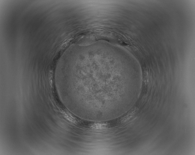 X0000056380664200509091716