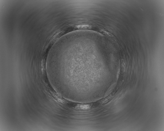 X0000056380665200509091716