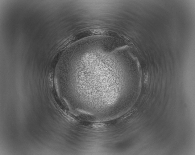 X0000056380666200509091716