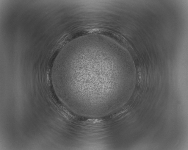 X0000056380667200509091716