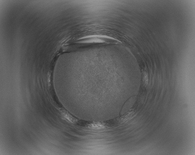 X0000056380668200509091716