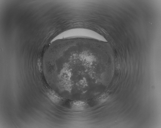 X0000056380669200509091716