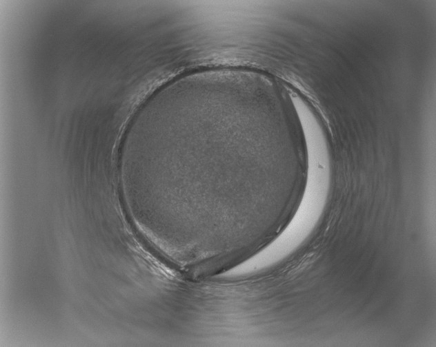 X0000056380673200509091716