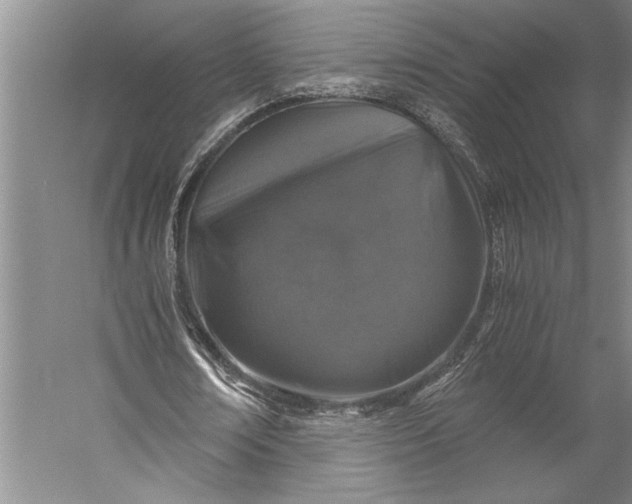 X0000056380674200509091716