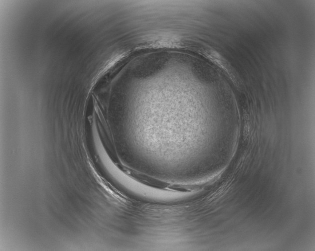 X0000056380677200509091716