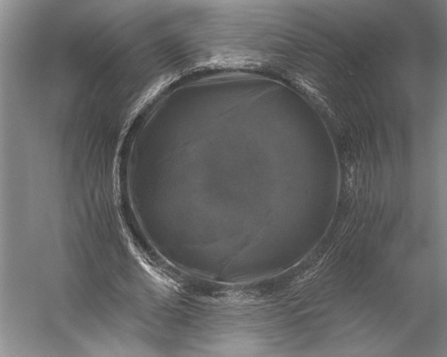 X0000056380678200509091716