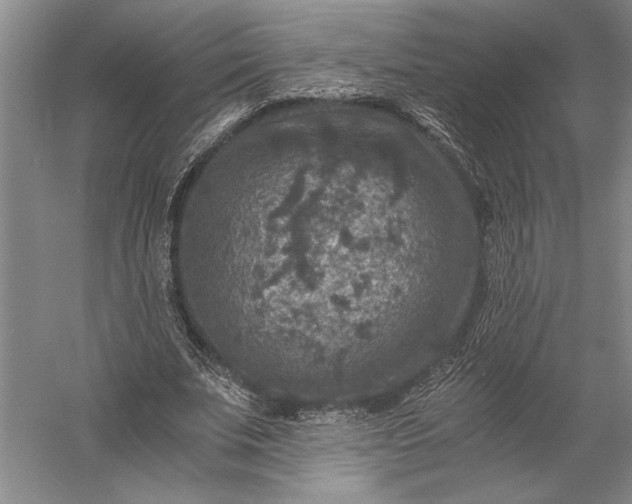 X0000056380679200509091716