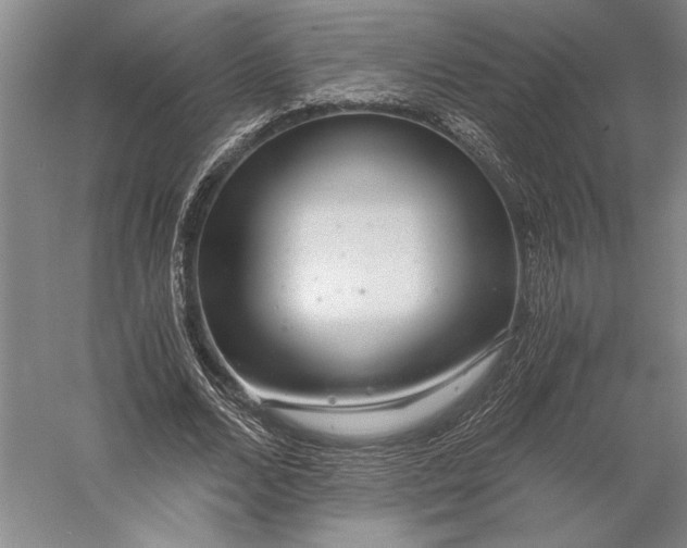 X0000056380680200509091716