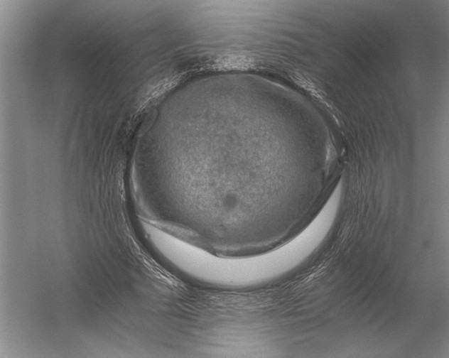 X0000056380681200509091716