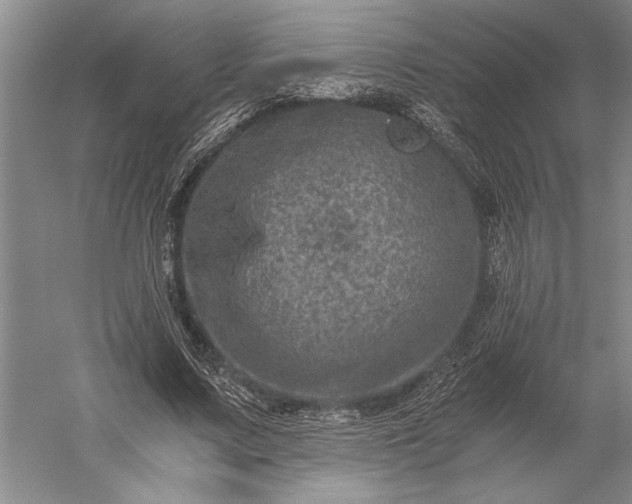 X0000056380683200509091715