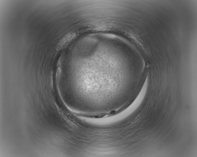 X0000056380685200509091715