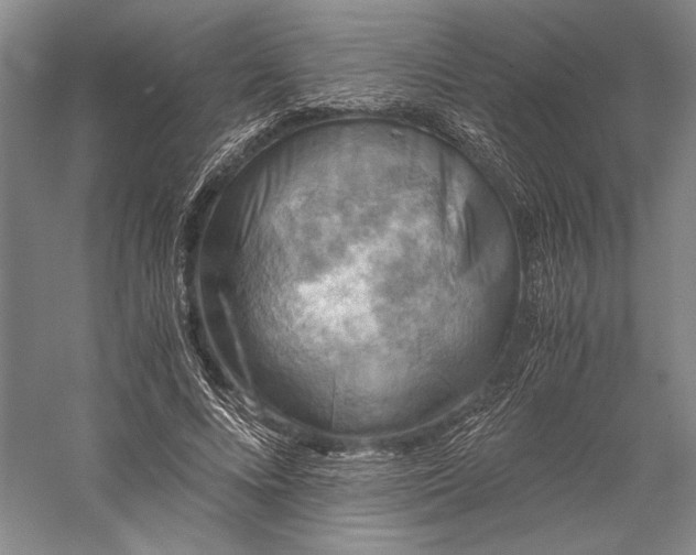 X0000056380688200509091715