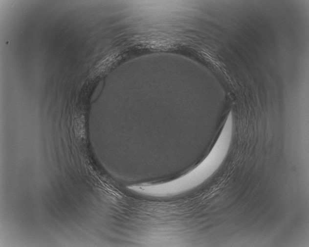 X0000056380689200509091715