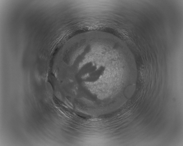 X0000056380691200509091715