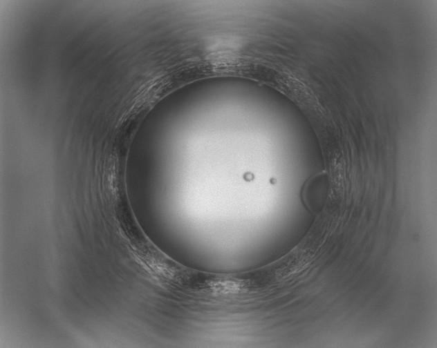 X0000056380698200509091715