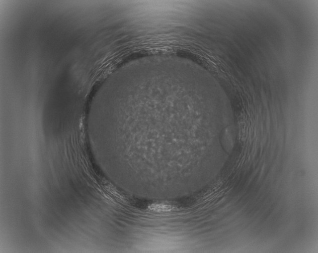 X0000056380699200509091715