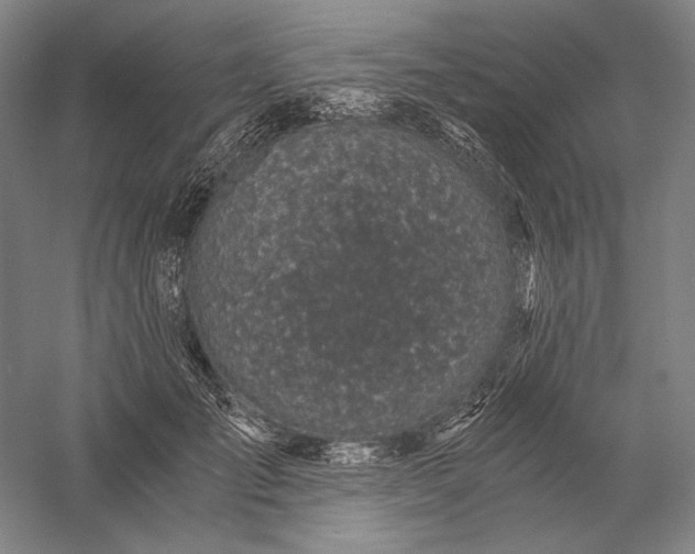 X0000056380701200509091715